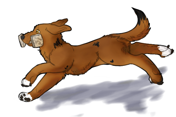 Dog running with weight in mouth