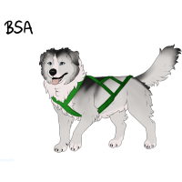 Thumbnail for ADOPT-BH-363