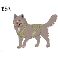 Thumbnail for ADOPT-BH-316