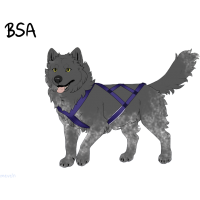 Thumbnail for ADOPT-BH-318