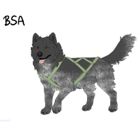 ADOPT-BH-302