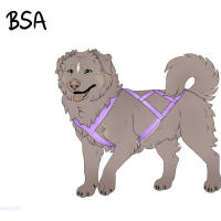 ADOPT-BH-326: Lila
