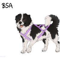 ADOPT-BH-329