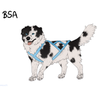 Thumbnail for ADOPT-BH-330: Kell of Kings, "Baron"