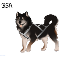 Thumbnail for ADOPT-BH-334