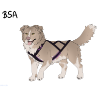 Thumbnail for ADOPT-BH-307