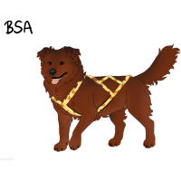 ADOPT-BH-313