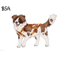 Thumbnail for ADOPT-BH-342