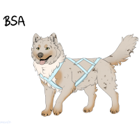 ADOPT-BH-344
