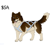 ADOPT-BH-346: Seal