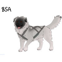 ADOPT-BH-371