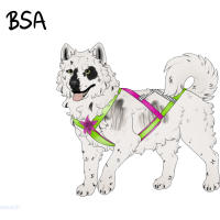 Thumbnail for ADOPT-BH-356