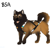 Thumbnail for ADOPT-BH-331