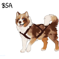 Thumbnail for ADOPT-BH-332