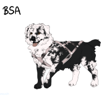 Thumbnail for ADOPT-BH-358: Eye Of The Beholder | Rorschach