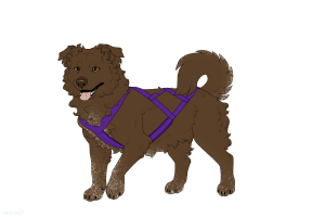 Thumbnail for ADOPT-BH-343