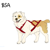 Thumbnail for ADOPT-BH-345: BHR Stubby