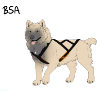 Thumbnail for ADOPT-BH-452