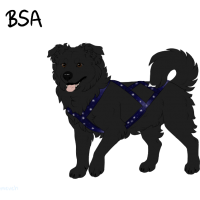 Thumbnail for ADOPT-BH-453: BHR Estella