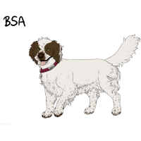 Thumbnail for ADOPT-BH-462