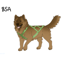 Thumbnail for ADOPT-BH-463