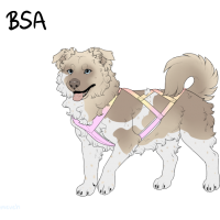 Thumbnail for ADOPT-BH-487: Fifi