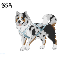 Thumbnail for ADOPT-BH-489