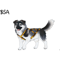 Thumbnail for ADOPT-BH-527