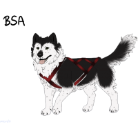 ADOPT-BH-044: Charming