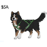 Thumbnail for ADOPT-BH-399