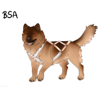 Thumbnail for ADOPT-BH-406