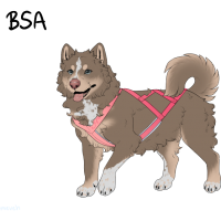 Thumbnail for ADOPT-BH-423