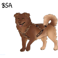 Thumbnail for ADOPT-BH-426