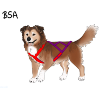 Thumbnail for ADOPT-BH-434