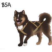 ADOPT-BH-450: Jack