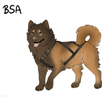 Thumbnail for ADOPT-BH-451