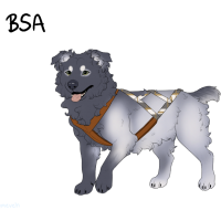 Thumbnail for ADOPT-BH-455: BHR Sam