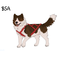 Thumbnail for ADOPT-BH-322