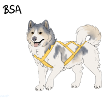 Thumbnail for ADOPT-BH-340