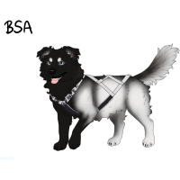 Thumbnail for ADOPT-BH-470