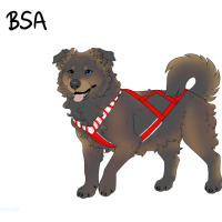 Thumbnail for ADOPT-BH-515