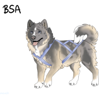 Thumbnail for ADOPT-BH-516