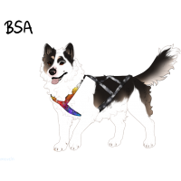Thumbnail for ADOPT-BH-526