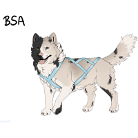 Thumbnail for ADOPT-BH-71