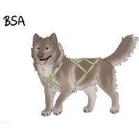 ADOPT-BH-409: Wolf