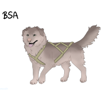 Thumbnail for ADOPT-BH-536