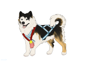 Thumbnail for ADOPT-BH-289: BSK's Dignity's Herold