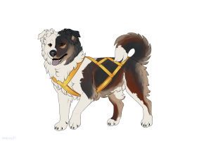 Thumbnail for ADOPT-BH-392