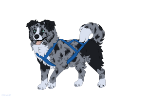 Thumbnail for ADOPT-BH-530