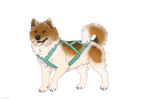 Thumbnail for ADOPT-BH-350